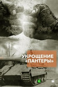 Укрощение «Пантеры»